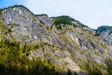 Ormanlarla kaplı Alpdağları, Koenigssee, Konigsee, Berchtesgaden Ulusal Parkı, Bavyera, Almanya