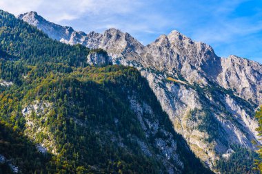 Ormanlarla kaplı Alpdağları, Koenigssee, Konigsee, Berchtesgaden Ulusal Parkı, Bavyera, Almanya