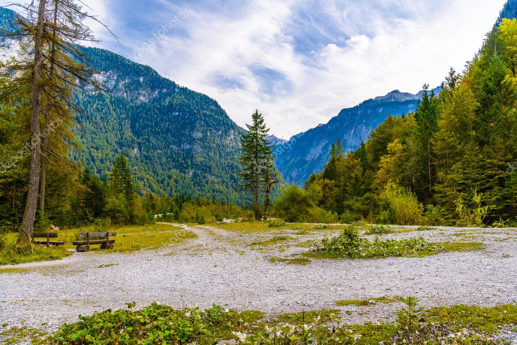 Forest in Alp mountains near Koenigssee, Konigsee, Berchtesgaden National Park, Bavaria, Germany.