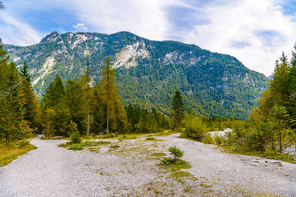 Forest in Alp mountains near Koenigssee, Konigsee, Berchtesgaden National Park, Bavaria, Germany.