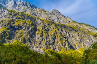 Ormanlarla kaplı Alpdağları, Koenigssee, Konigsee, Berchtesgaden Ulusal Parkı, Bavyera, Almanya