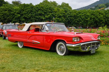 Baden Baden, Almanya - Temmuz 2019: Kırmızı ikinci nesil Ford Thunderbird Aka Meydanı Kuş Cabrio 1958, Kurpark 'ta yaşlı adam toplantısı