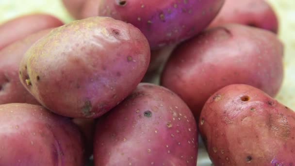 Potato Compilation Video — Stock Video