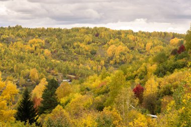 Sonbahar manzara, sonbahar orman.