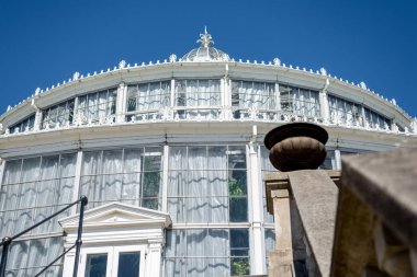 Palm house