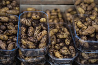 Patates.