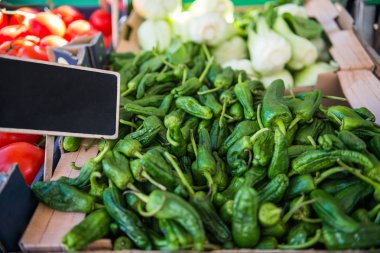 yeşil biber, pırasa, domates ve boş tabela görünümü kapatın 