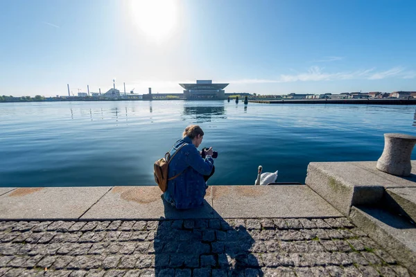 Young Woman Camera Photographing Swan Embankment Copenhagen — Stock Photo, Image