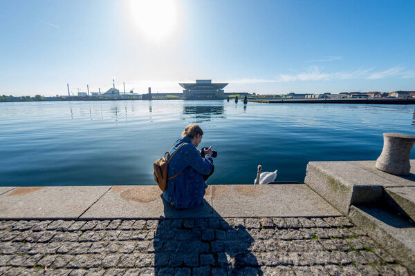 young woman with camera photographing swan at embankment in copenhagen