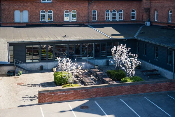 High Angle View Cozy Yard Benches Blossoming Trees Copenhagen Denmark — Free Stock Photo