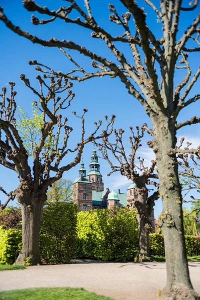 Parque Con Árboles Desnudos Arbustos Verdes Cerca Del Castillo Rosenborg — Foto de stock gratis