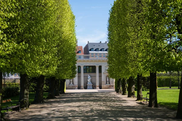 Beautiful Alley Green Trees Historical Building Columns Statues Copenhagen Denmark — Free Stock Photo