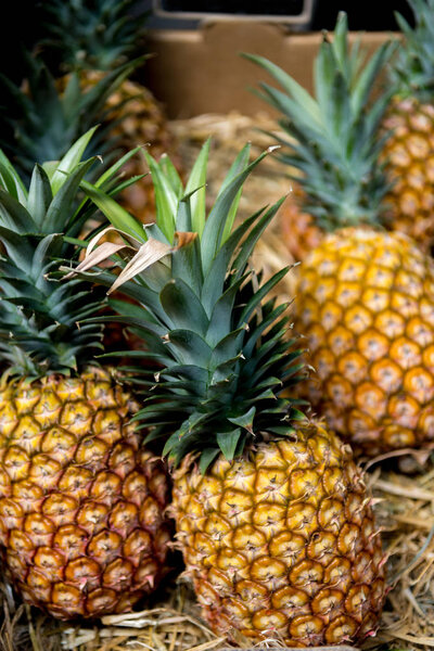 selective focus of pineapples in cardboard box 