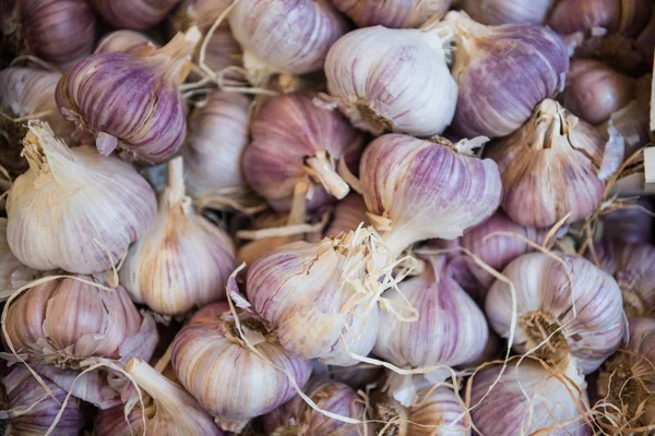 Knoblauch — Stockfoto