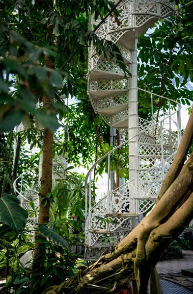 Trees with green leaves and spiral staircase in botanical garden of Copenhagen, Denmark — Stock Image Trees Green Leaves Spiral Staircase Botanical Garden Copenhagen Denmark Royalty Free Stock Images