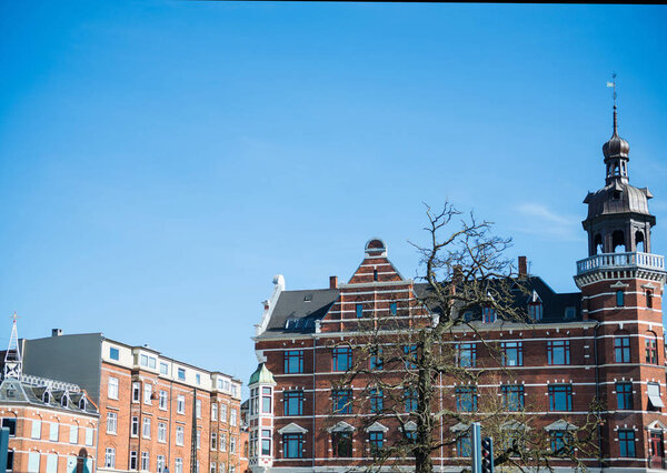 cityscape with tree and buildings under bright blue sky in Copenhagen, Denmark