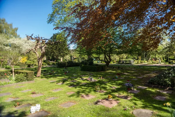 Im Freien — Stockfoto