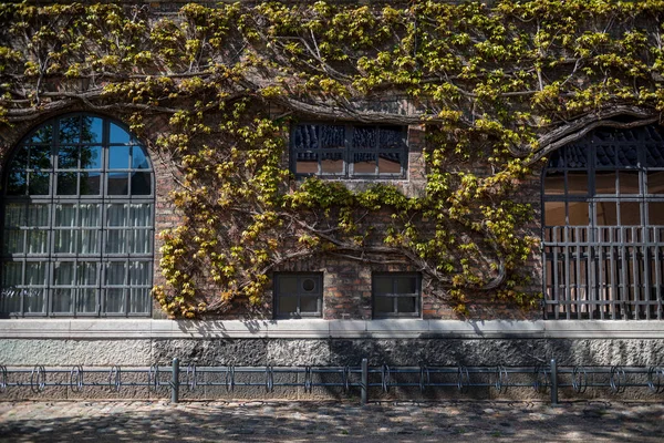 Escena urbana con edificio cubierto de plantas verdes en copenhagen, denmark - foto de stock