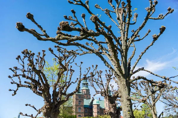 Vista através de árvores nuas no belo famoso castelo de Rosenborg no dia ensolarado, Copenhague, Dinamarca — Fotografia de Stock