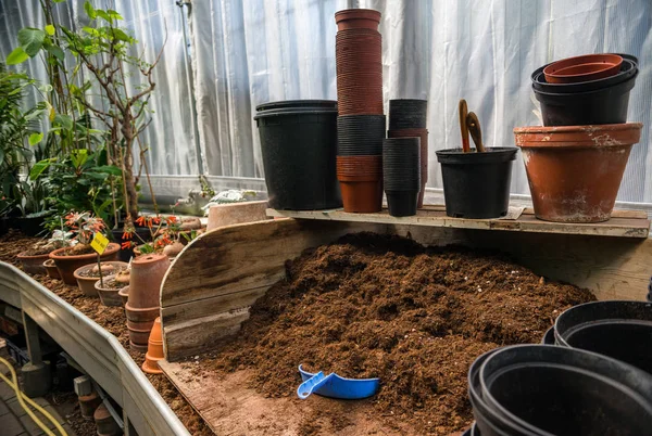 Plantas em vaso, vasos e pá de mão de plástico no chão no jardim botânico — Fotografia de Stock