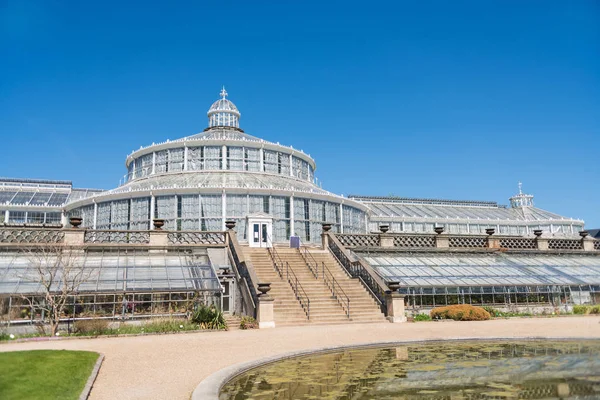 COPENHAGEN, DINAMARCA - 6 DE MAIO DE 2018: Palmeiras em jardim botânico sob céu azul brilhante — Fotografia de Stock