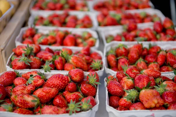 Erdbeeren — Stockfoto