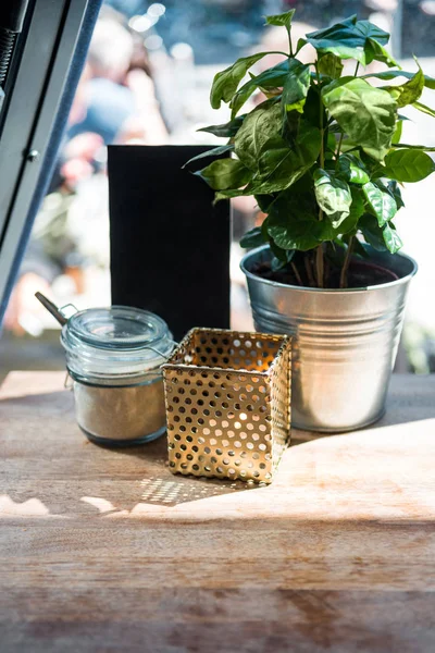 Nahaufnahme einer Pflanze mit Blättern im Eimer auf einem Tisch mit Schatten und Sonnenlicht im Café — Stockfoto