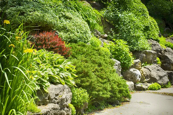 Çiçekli Güzel Bir Yaz Bahçesi — Stok fotoğraf
