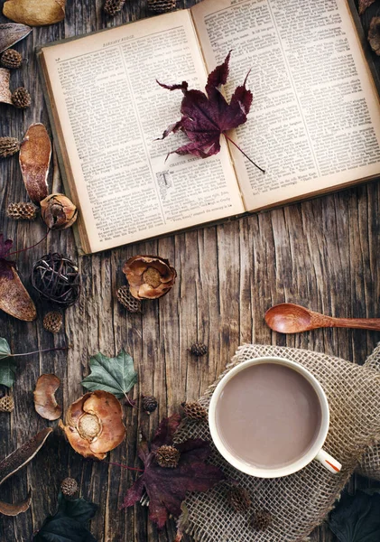 Herbstkomposition Mit Tasse Heißer Schokolade Und Buch — Stockfoto