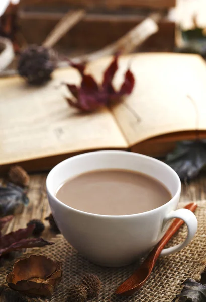 ホット チョコレートと本のカップと秋の組成 — ストック写真