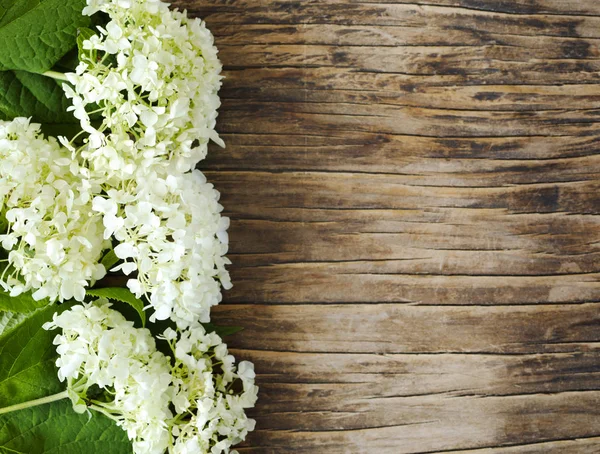 Marco Flores Hortensias Vista Superior Flores Hortensias Sobre Fondo Madera — Foto de Stock