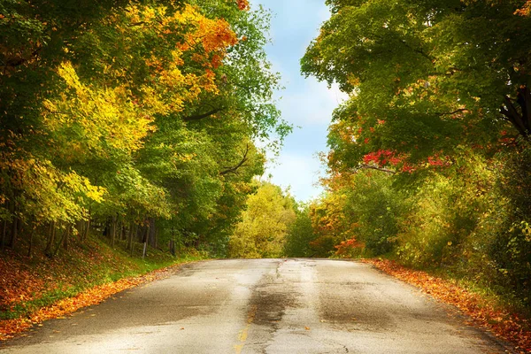 Красивый Осенний Пейзаж Дорогами Красивыми Цветными Деревьями — стоковое фото