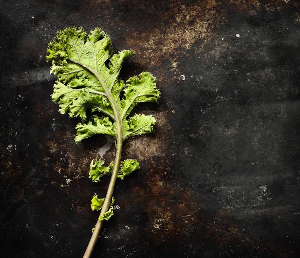 Hoja Col Rizada Verde Fresca Sobre Fondo Oscuro — Foto de Stock