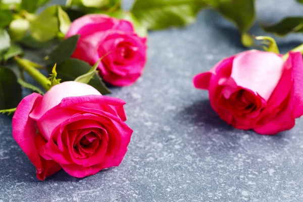 Hermosas Rosas Rosadas Gerberas —  Fotos de Stock