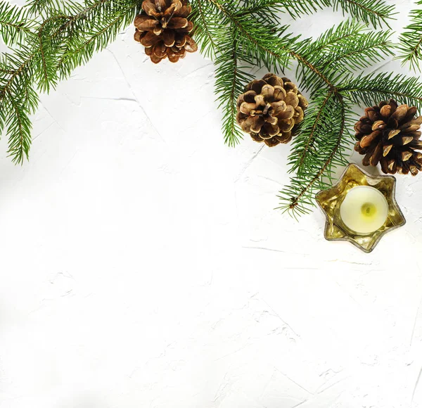 Kerstmis Achtergrond Met Spar Takken Dennenappels Witte Achtergrond Kopie Ruimte — Stockfoto