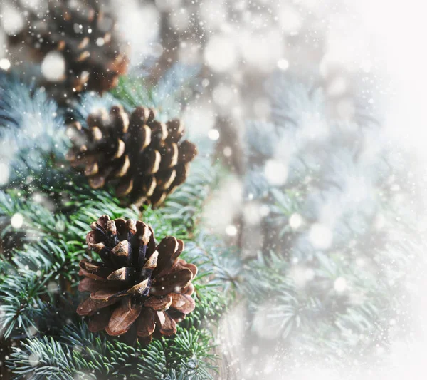 松ぼっくりと雪片のモミの枝 クリスマス休暇の概念 — ストック写真