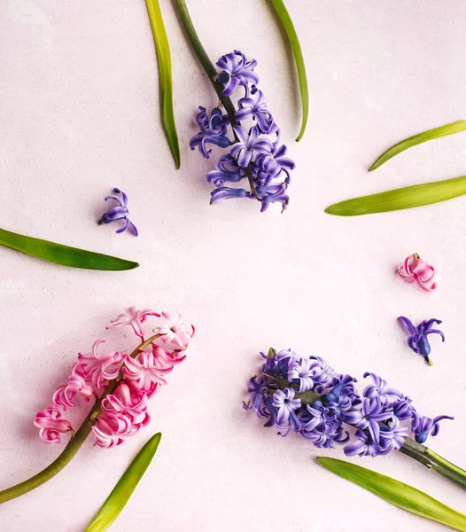 Jarní květiny na růžovém pozadí. Hyacinty, kopírování místa — Stock fotografie