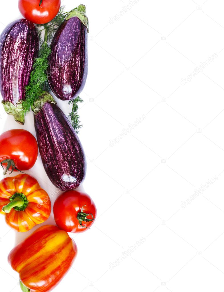 Summer vegetables with herbs isolated on white background, copy 