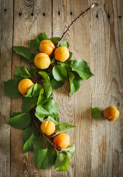Een tak van rijpe abrikozen op houten achtergrond — Stockfoto