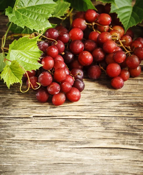 Raisins rouges mûrs frais sur fond de bois . — Photo