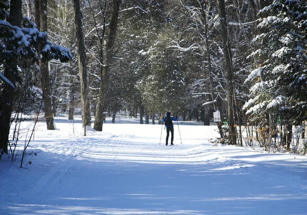 Cross-country skiing — Stock Photo, Image