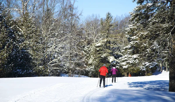 Cross-country skiing — Stock Photo, Image