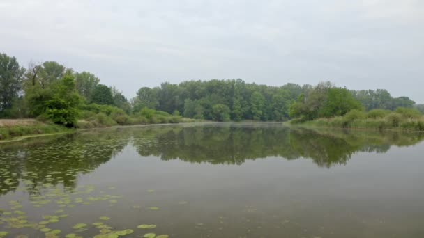 Paysage naturel estival avec surface de l'eau reflétant la forêt poussant sur les rives de la rivière 