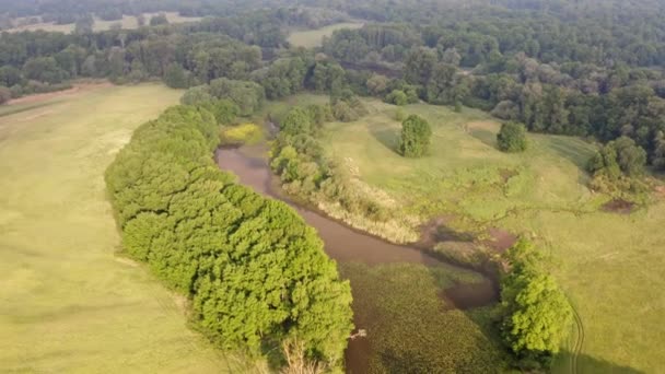 Drohnenaufnahmen von Auwald mit Fluss im Sommer bei Sonnenaufgang. — Stockvideo
