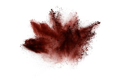 Beyaz arka planda kahverengi renkli toz patlaması. Renkli bulut. Renkli toz patlar. Boya Holi.