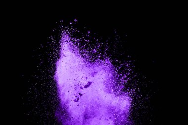 Siyah arka planda mor barut patlaması. Renkli bulut. Renkli toz patlar. Boya Holi.