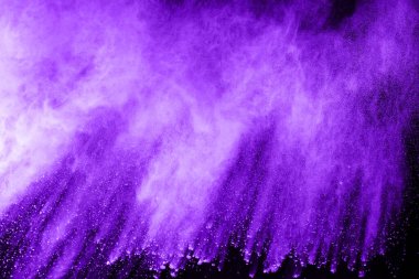 Siyah arka planda mor barut patlaması. Renkli bulut. Renkli toz patlar. Boya Holi.