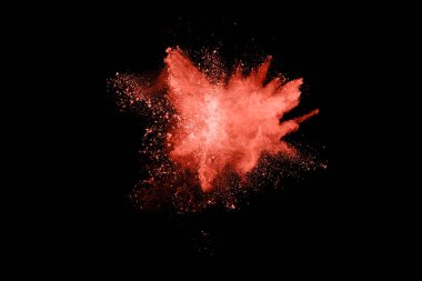 Siyah arka planda Yaşayan Mercan renk pudrası patlaması. Renkli bulut. Renkli toz patlar. Boya Holi.