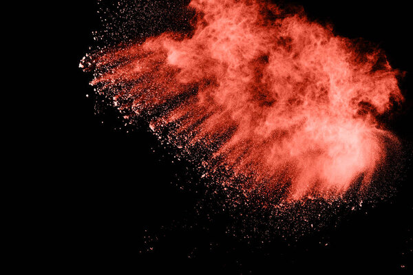 Living Coral  color powder explosion on black background. Colored cloud. Colorful dust explode. Paint Holi.