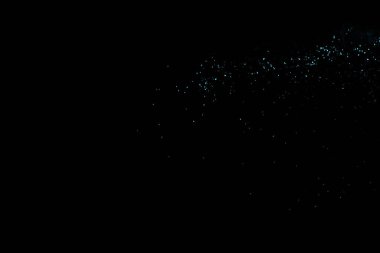 Siyah arka planda mavi barut patlaması. Renkli bulut. Renkli toz patlar. Boya Holi.